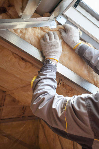Best Specialized Insulation Services in Marillo, CA